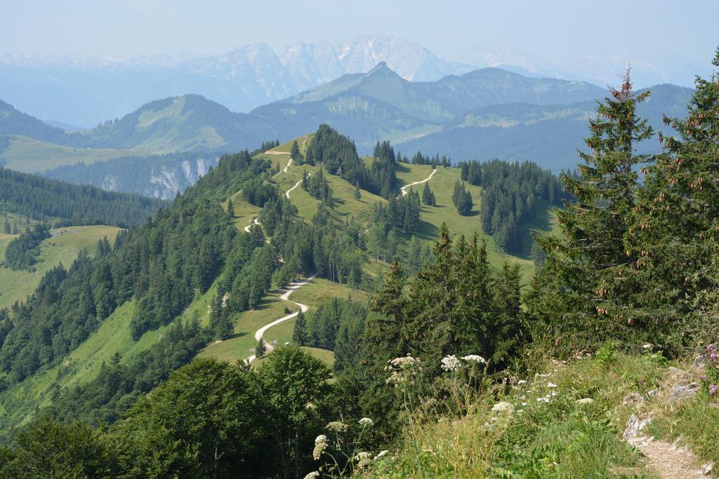 Appart Weisse Urlauben Am Wolfgangsee Sankt Gilgen Kültér fotó